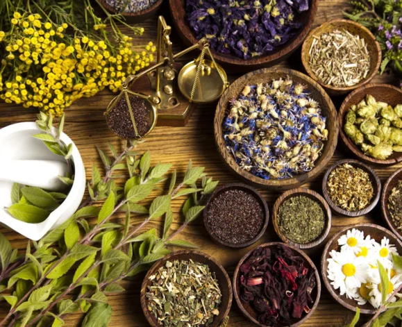 Herbal-Medicine_picture